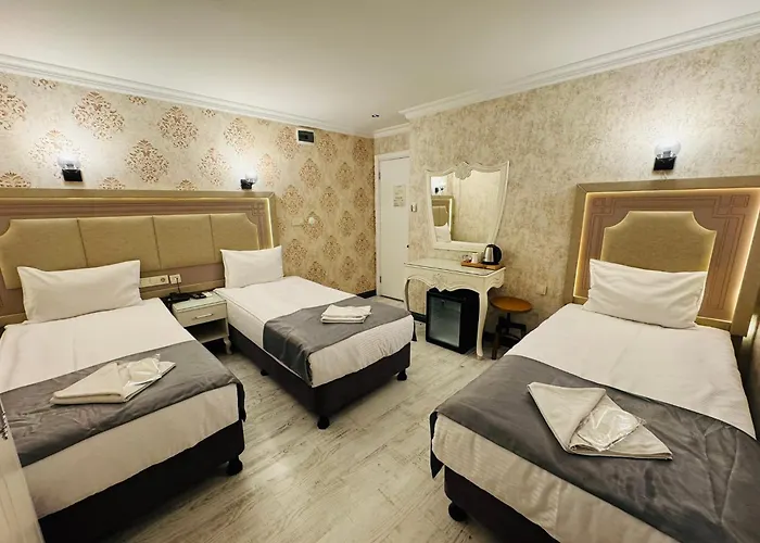 Old City Viva Hotel
